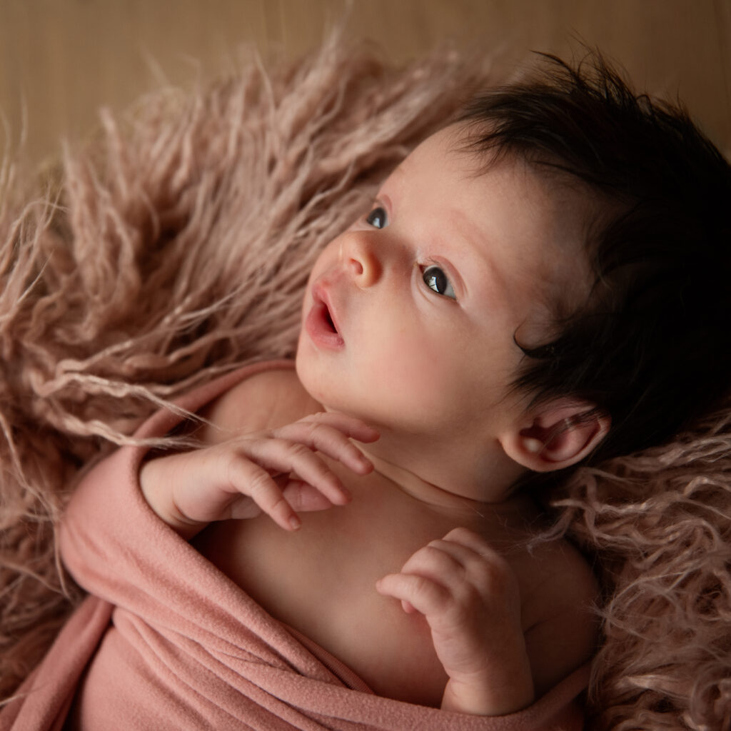 Herstart van Colourfulzebra fotografie: Familiefotografie, Newbornfotografie